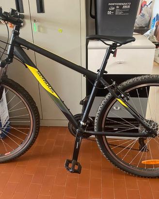 mountain bike
