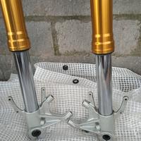 Forcella Caponord 1200 ADD