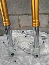 Forcella Caponord 1200 ADD