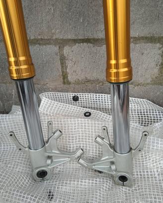 Forcella Caponord 1200 ADD