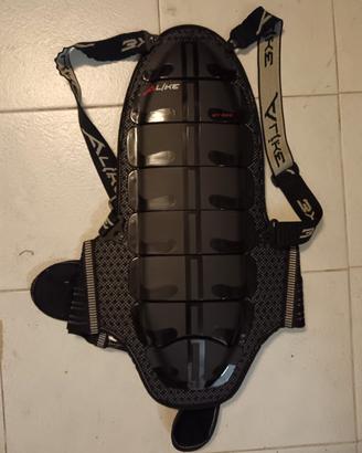 paraschiena