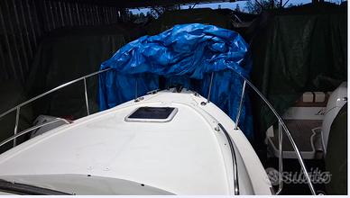 Saver 750 Cabin con motore Suzuki DF 300