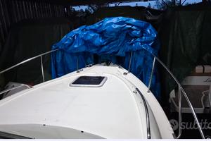 Saver 750 Cabin con motore Suzuki DF 300