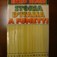 Libri Storia d'Italia a fumetti, Biagi