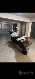 honda Hornet 