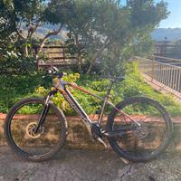 E-mtb megamo ridon ht 504w a pedalata assistita