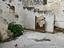 Immagine 13