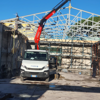 Gru ribaltabile Iveco daily