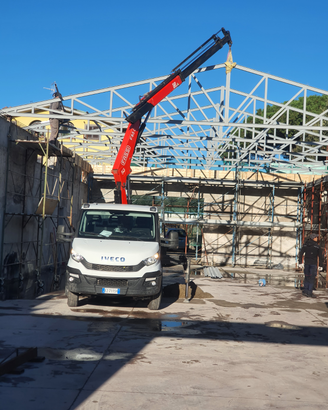 Gru ribaltabile Iveco daily