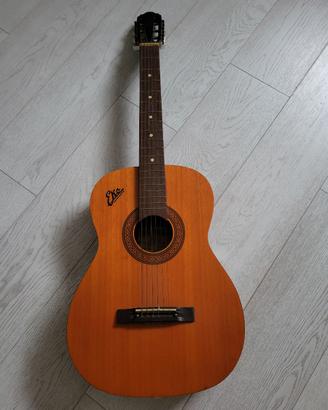Chitarra eko
