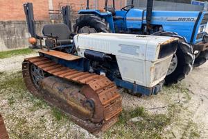 LAMBORGHINI C503 LL ANNO