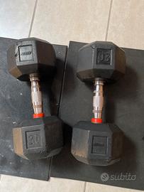 2 dumbbell manubri palestra gym 20kg Xenios