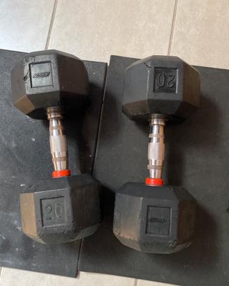 2 dumbbell manubri palestra gym 20kg Xenios