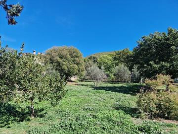 Industriale a Lugnano in Teverina