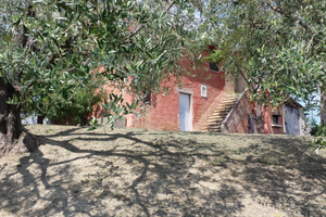 Porzione di casolare con 3000 mq di terreno