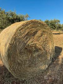 Rotoballe di avena da 150