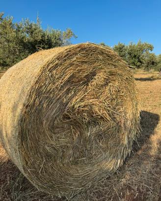 Rotoballe di avena da 150
