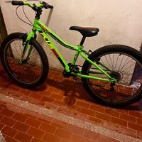 Bici 24