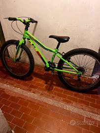 Bici 24