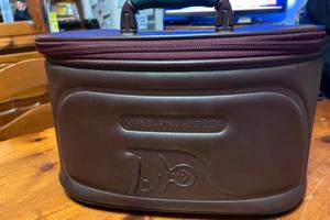 Beauty mandarina duck