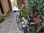 Immagine 2