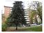 Immagine 23
