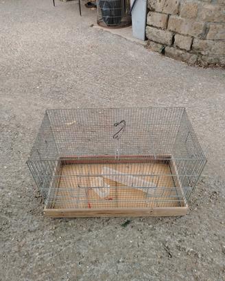 gabbia per pappagalli e criceti