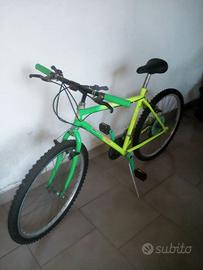 Bicicletta Mountain bike