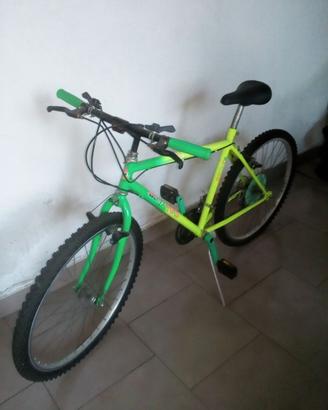 Bicicletta Mountain bike