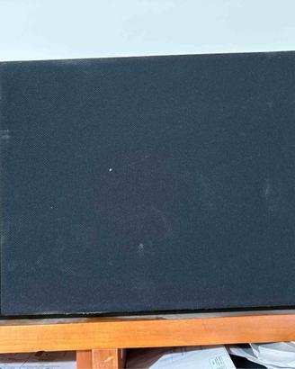 casse austiche bose 6.2