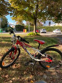 Bicicletta Ferini mountain bike  24’ alluminio