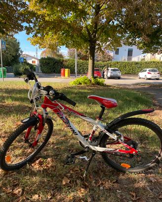 Bicicletta Ferini mountain bike  24’ alluminio