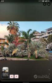 Sanremo appartamento fronte marecentrodavantibagni