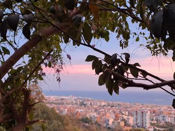 Sala abbagnano vista mare