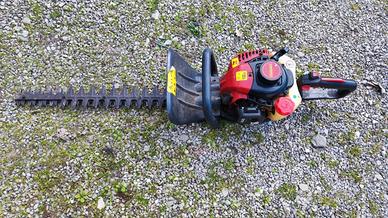 Tagliasiepi a scoppio