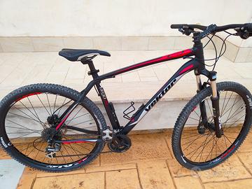 Bicicletta vektor 29”