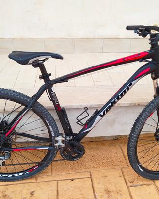 Bicicletta vektor 29”