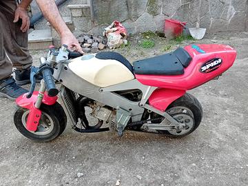 Minimoto Polini