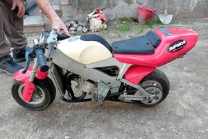 Minimoto Polini
