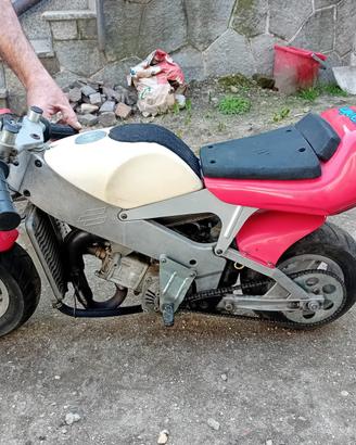 Minimoto Polini