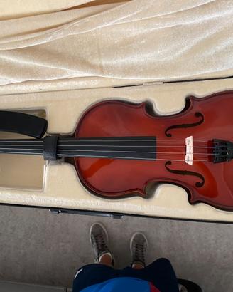 Violino