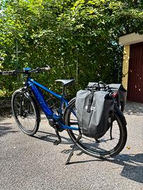 ebike GIANT Trekking Pro
