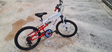 bicicletta 20
