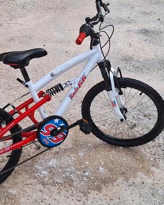 bicicletta 20
