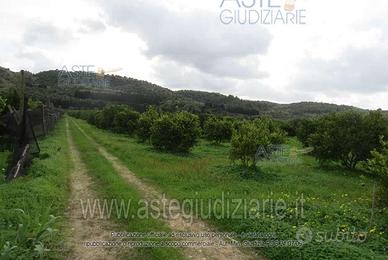 Terreno Agricolo Acate [A4200315]