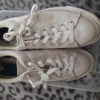 converse bambina numero 39