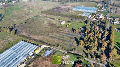 Terreno agricolo 5 HA pianeggiante fronte strada