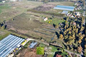 Terreno agricolo 5 HA pianeggiante fronte strada