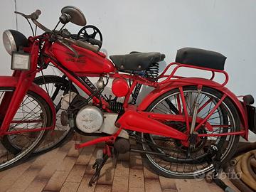 Cardellino - Guzzino 65 anno 1954