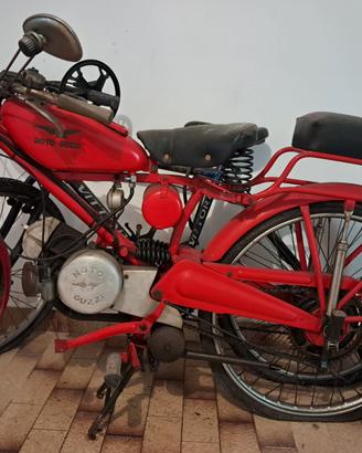 Cardellino - Guzzino 65 anno 1954